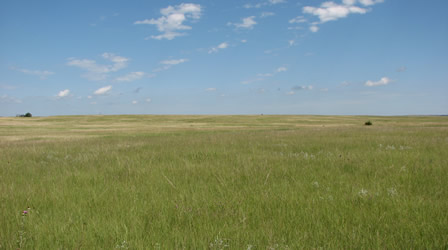 prairie-landscape.jpg
